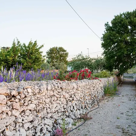 Trulli Paparale ألبيروبيللو