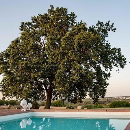 بيت للعطل Trulli Paparale