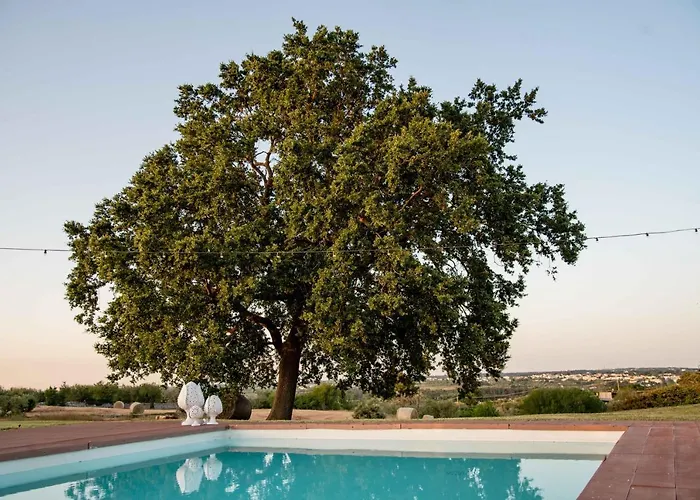 Casa de Férias Trulli Paparale