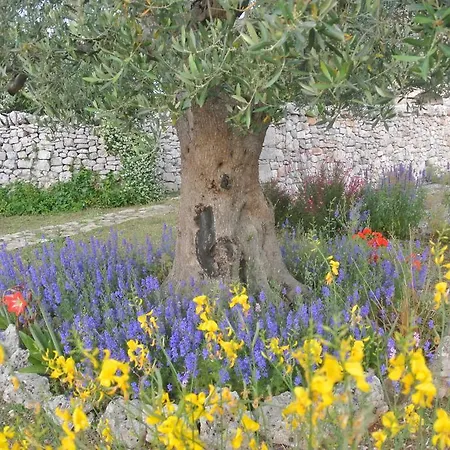 Holiday home Trulli Paparale *