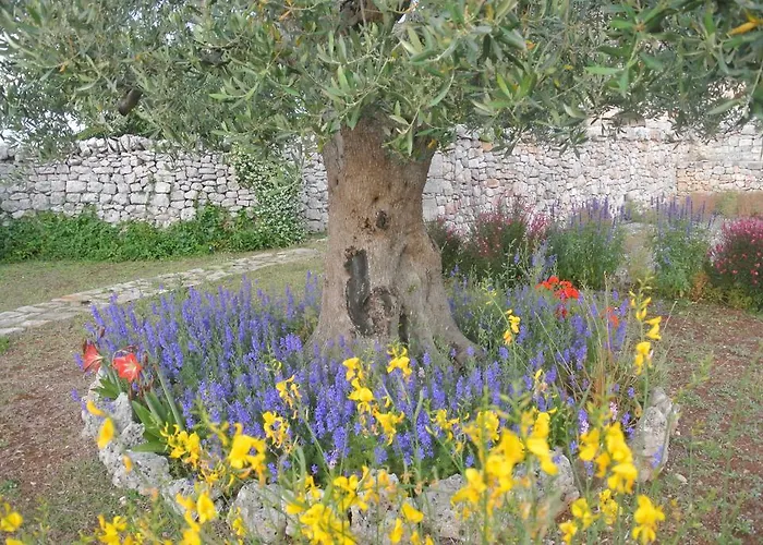 Tatil Evi Trulli Paparale *